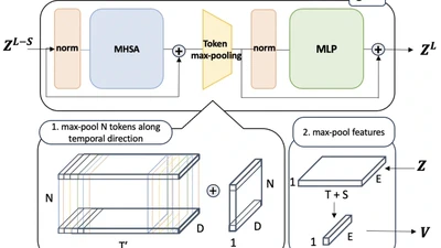 Effectiveness of Max-Pooling for Fine-Tuning CLIP on Videos featured image